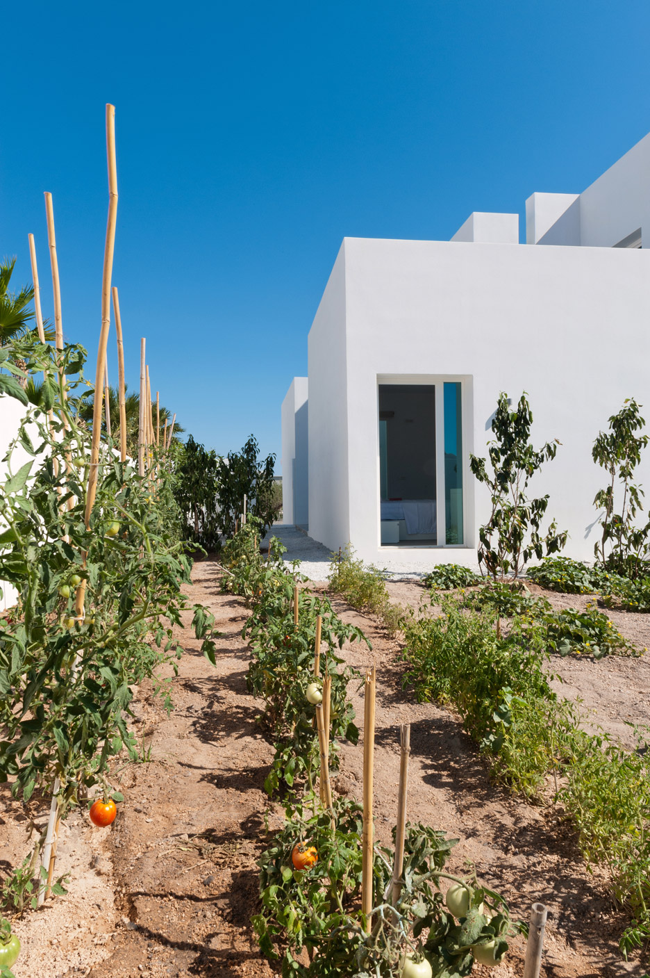 Summer-House-in-Santorini_Kapsimalis-Architects_dezeen_936_7