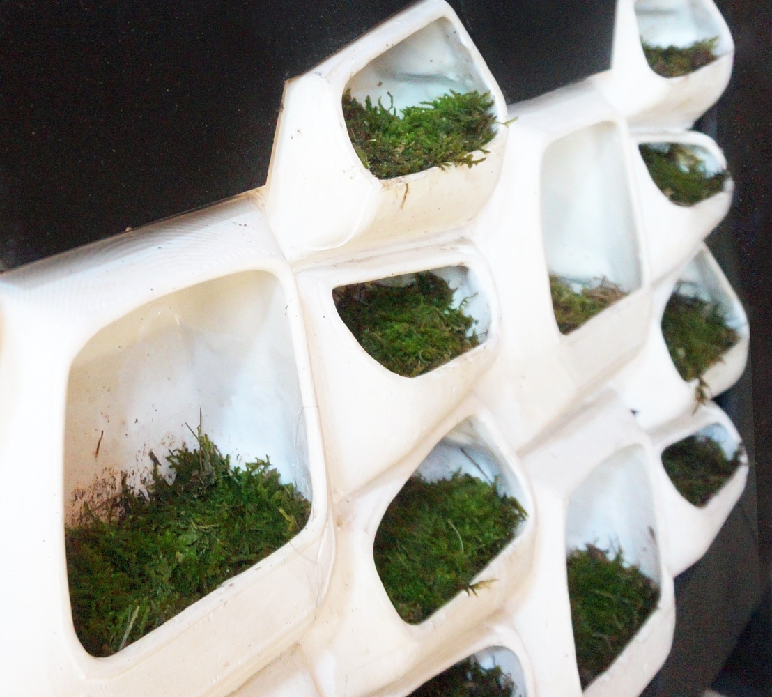 Moss Voltaics. Image © Elena Mitrofanova