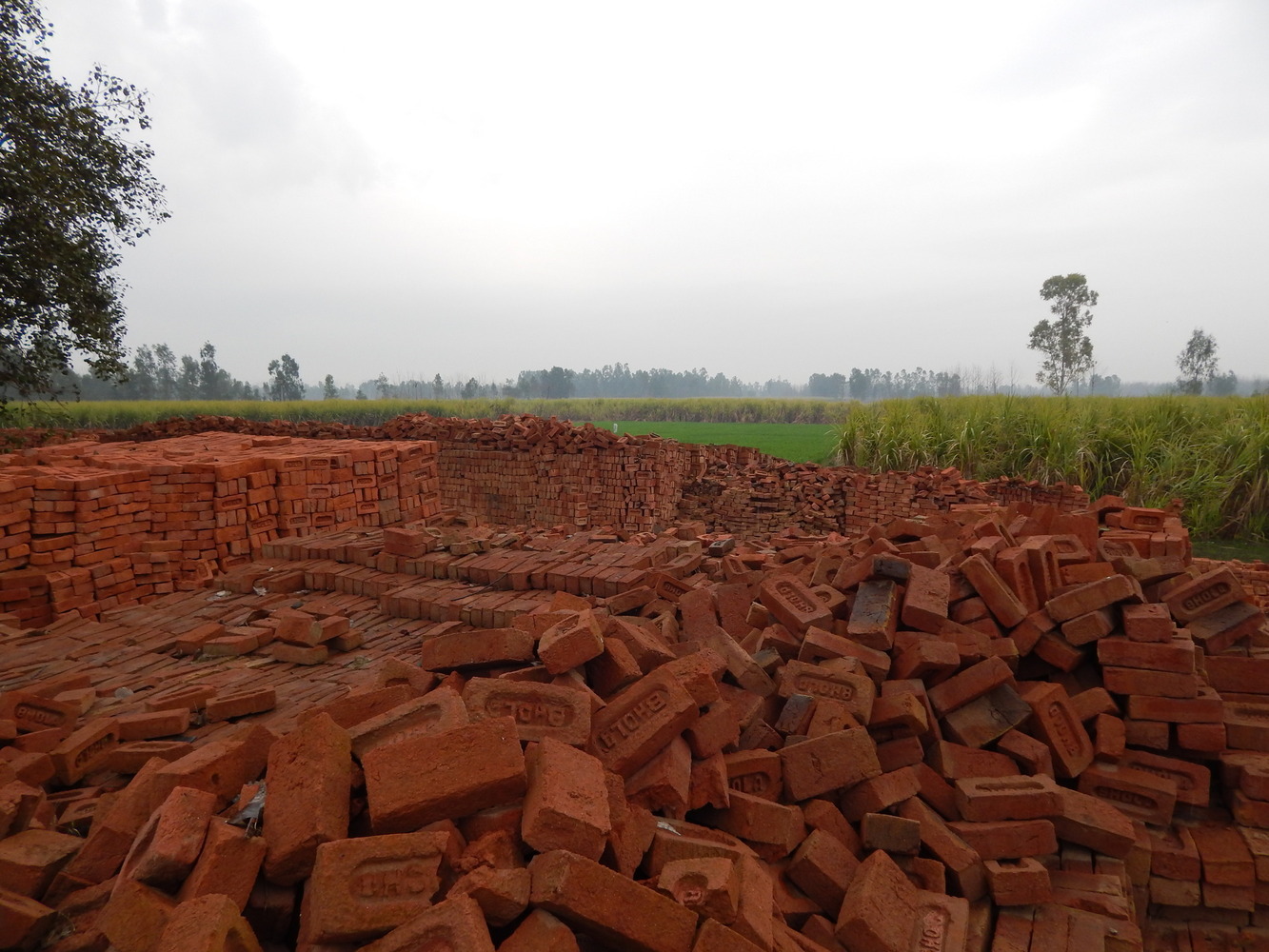 Eco-Blac Bricks. Image Courtesy of MIT Tata Center