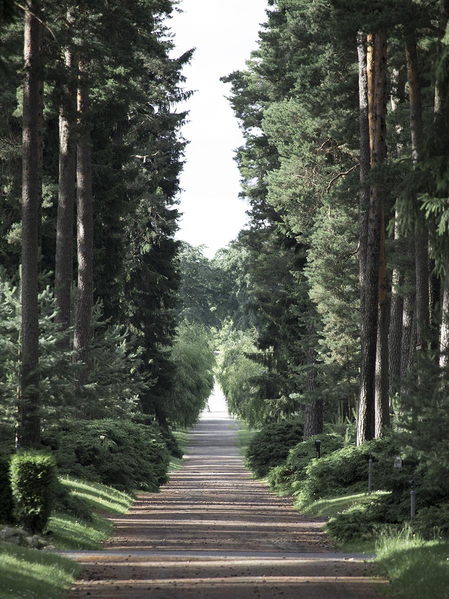 studio_esinam_woodland_cemetery_13
