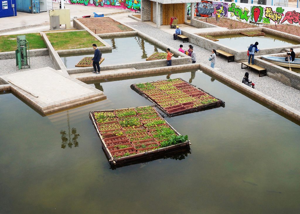 تولید، انرژی و بازیافت: مزارع شناور، در شنزن، چین. از Thomas Chung