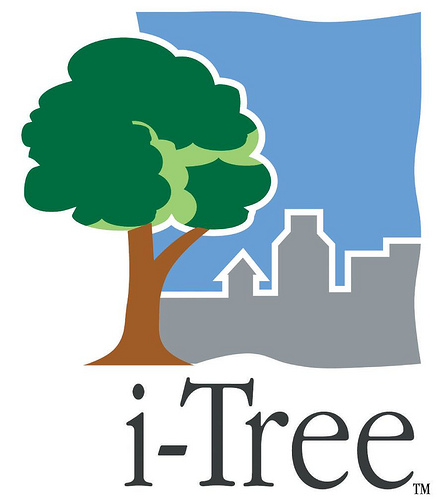 itree-logo